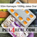 5Gm Kamagra 100Mg Oral Jelly new12